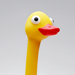 ダチョウ（管理人）